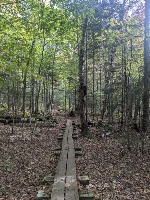 Little Rock Pond Shelter Picture 2