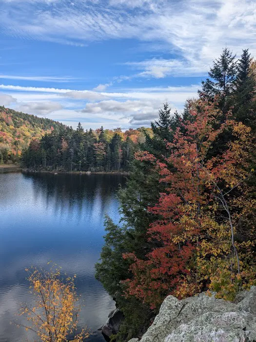 Little Rock Pond Shelter Picture 4