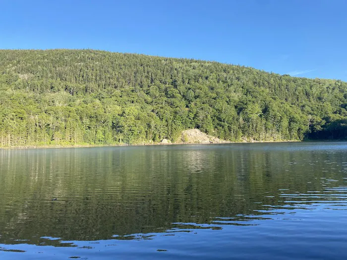 Little Rock Pond Shelter Picture 8