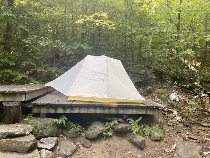 Little Rock Pond Shelter Picture 10