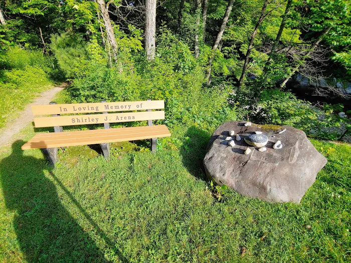 Winhall Brook Campground Picture 9