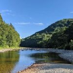 Winhall Brook Campground