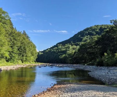 Winhall Brook Campground