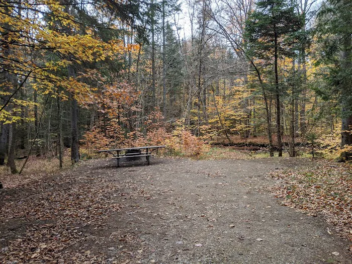 Greendale Campground Picture 7