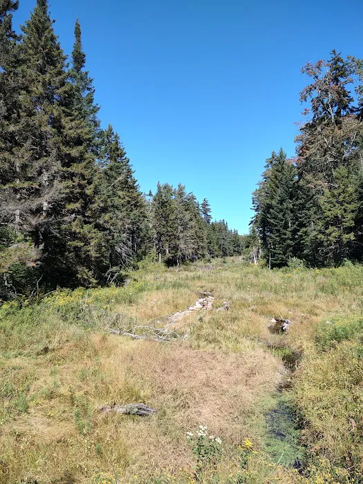 Greendale Campground Picture 6