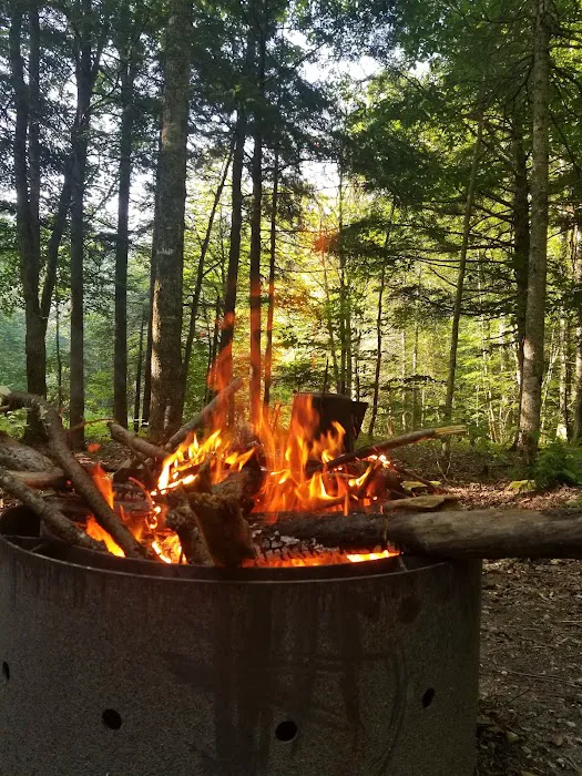 Greendale Campground Picture 8