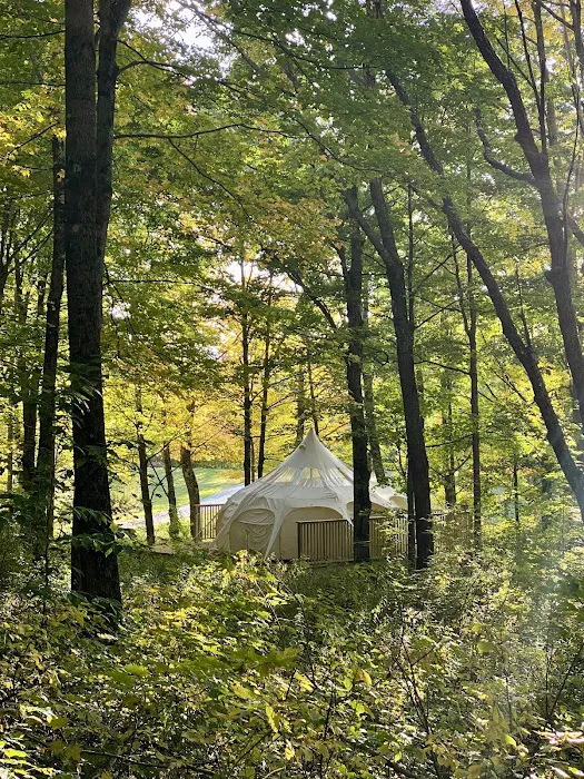 Camp Jomo Picture 3