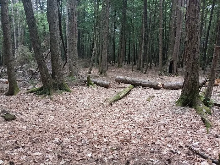 Luzerne Campground Picture 1