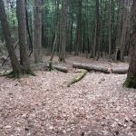 Luzerne Campground