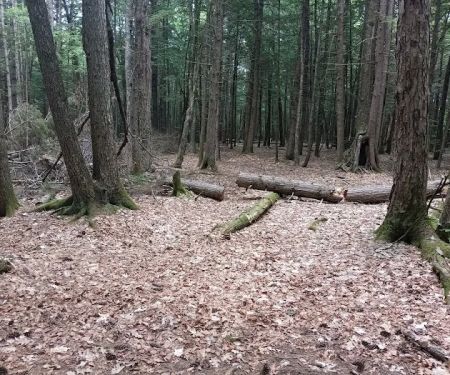 Luzerne Campground