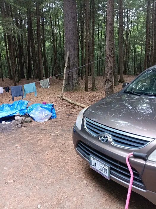 Luzerne Campground Picture 4