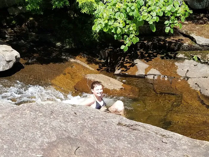 Bear Slide Picture 5