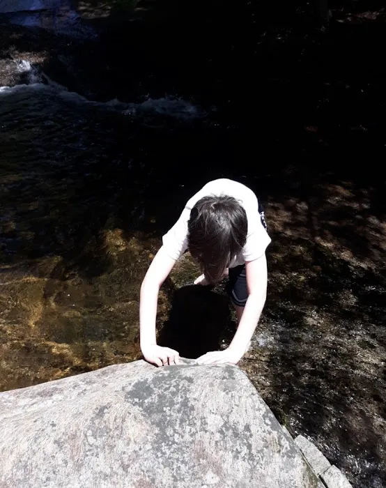 Bear Slide Picture 9