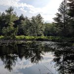 Ukrainian Campground