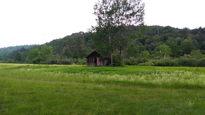 Mountain View Campground Picture 8