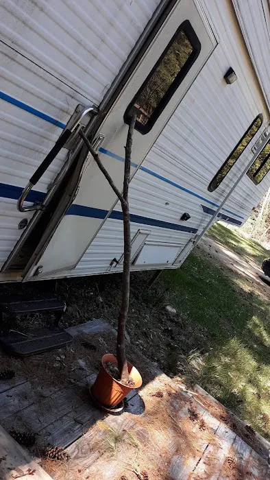 Mountain View Campground Picture 5