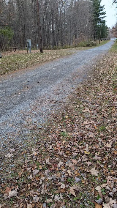 Remington Park Tent Campground Picture 3