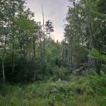 Golden Beach Campground