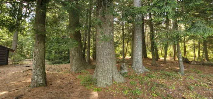Tioga Point Campground - Lean-To - Site #7 Picture 3