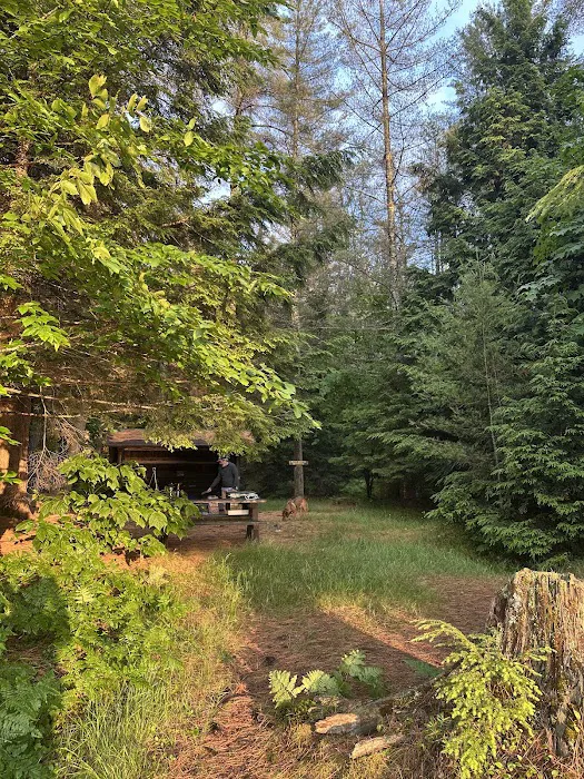 Tioga Point Campground - Lean-To - Site #8 Picture 2