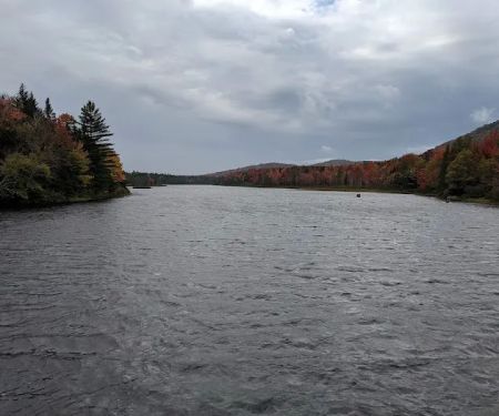 Cedar River Campsites