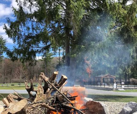 Whippoorwill Motel & Campsites