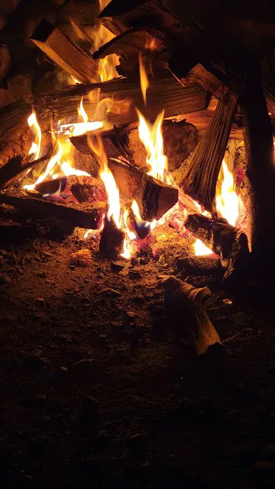 Queen Village Camp Ground Picture 8