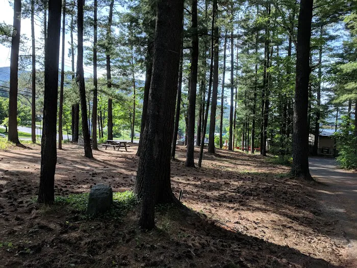 Lake George Battleground State Campground Picture 8