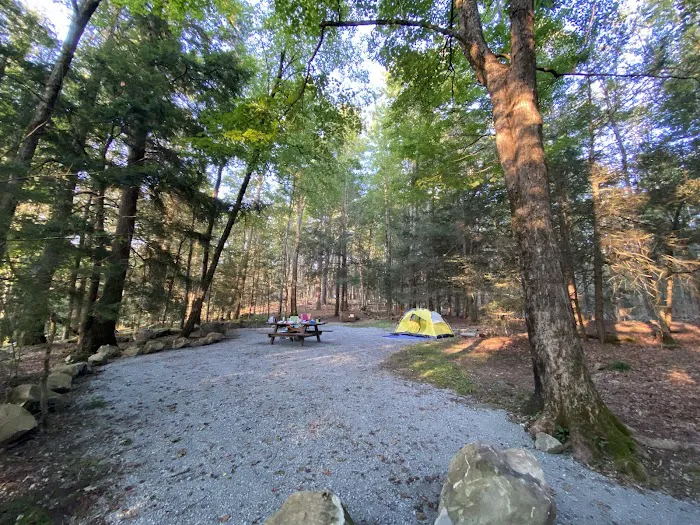 Tolland State Forest Campground Picture 1