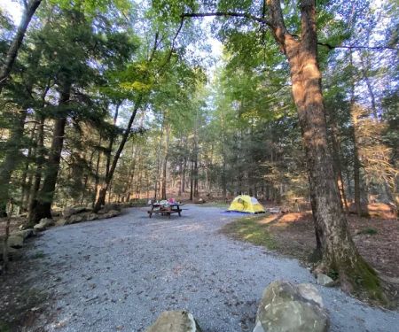 Tolland State Forest Campground