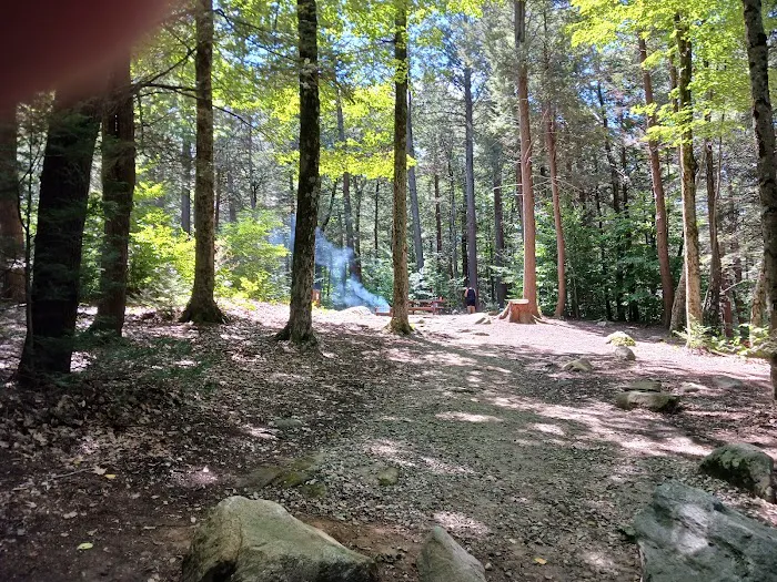 Tolland State Forest Campground Picture 10