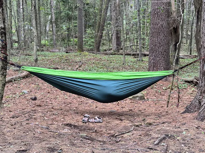 Tolland State Forest Campground Picture 5