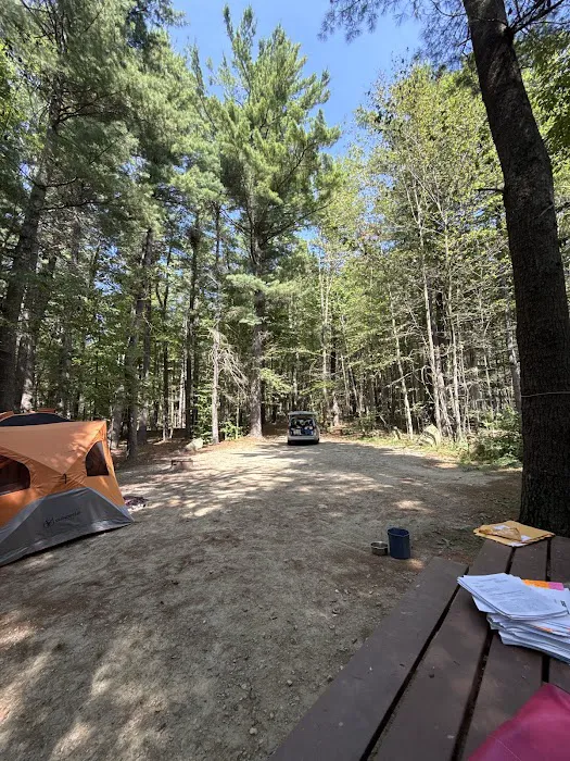 Tolland Campsite #79 Picture 7