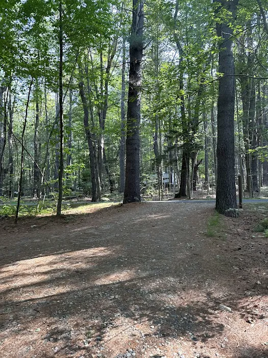 Tolland Campsite #79 Picture 9