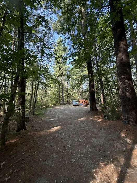 Tolland Campsite #79 Picture 10