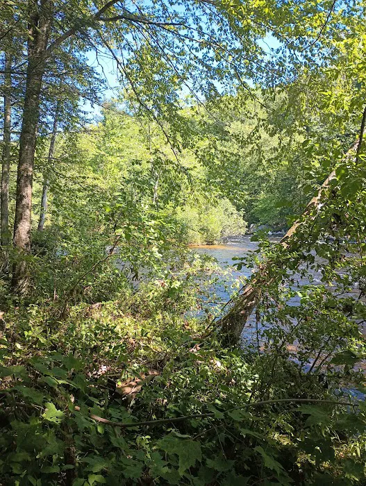 Austin Hawes Campground Picture 4