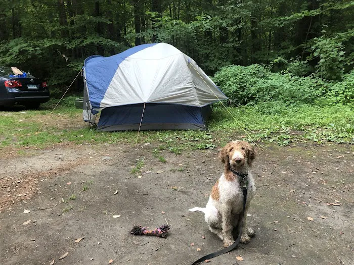 Austin Hawes Campground Picture 6