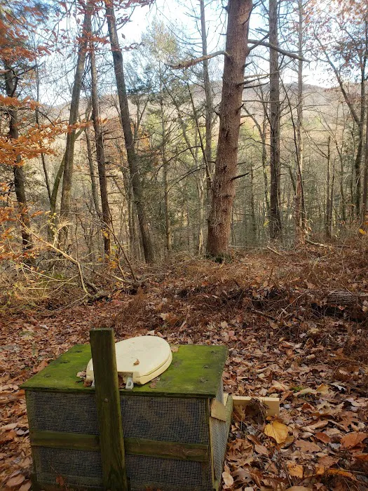 Group Camp Sites Picture 9