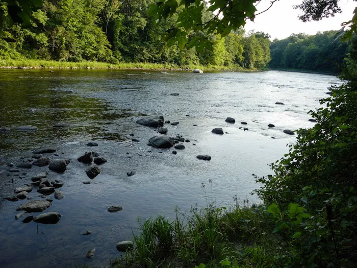 Group Camp Sites Picture 5