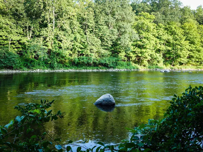 Group Camp Sites Picture 6