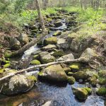 Cozy Hills Campground