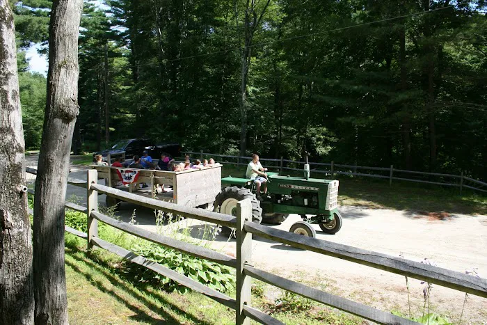 Cozy Hills Campground Picture 8