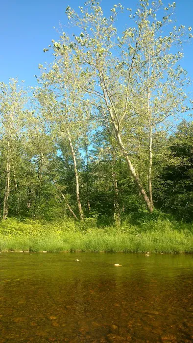 Indian Hollow Campground Picture 2