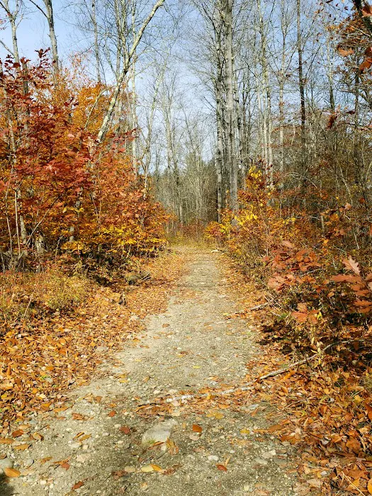 Indian Hollow Campground Picture 8
