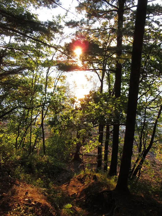 Wellesley Island State Campground Picture 8