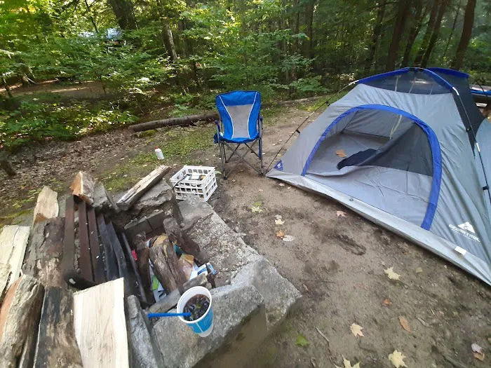 Indian Lake Islands Campground - Main Office/Ranger Station/Boat Ramp Picture 10
