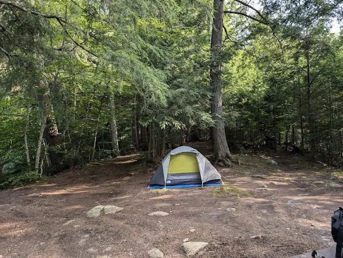 Indian Lake Islands Campground - Campsite #41 Picture 4