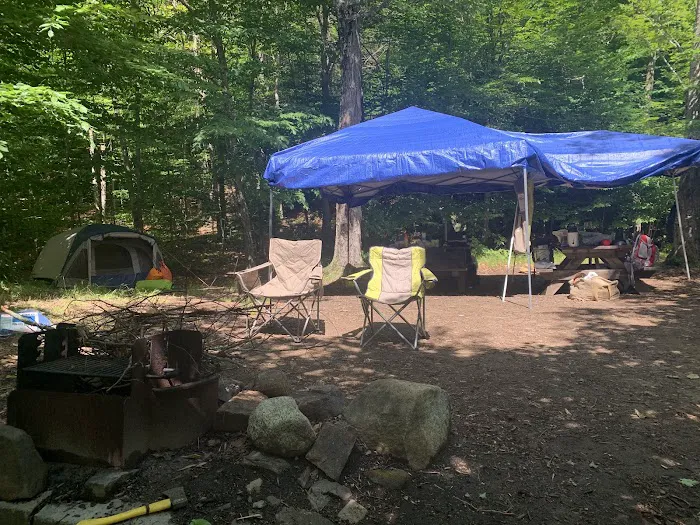 Indian Lake Islands Campground - Campsite #42 Picture 8