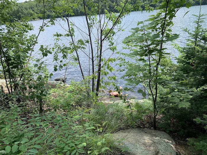 Indian Lake Islands Campground - Campsite #20 Picture 6