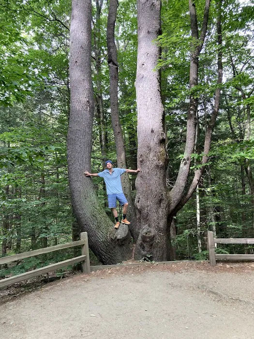 DAR Campgrounds Picture 3